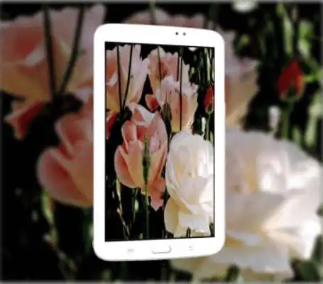 Play Full HD Camera 360