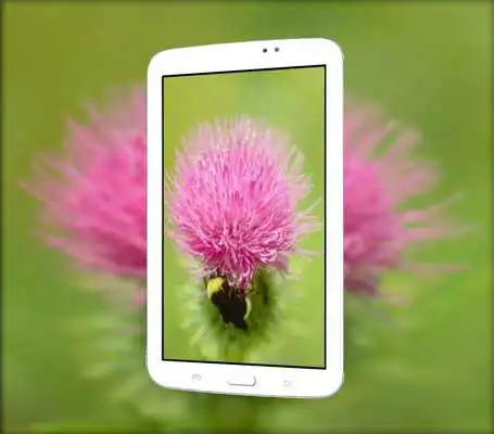 Play Full HD Camera 360