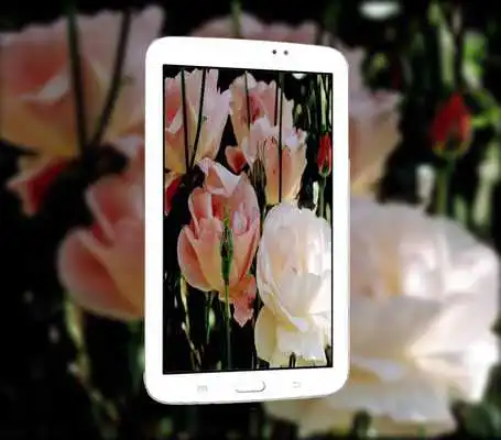 Play Full HD Camera 360