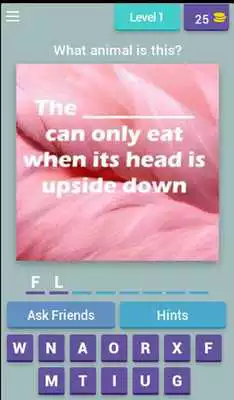 Play Fun Animal Facts