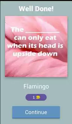 Play Fun Animal Facts