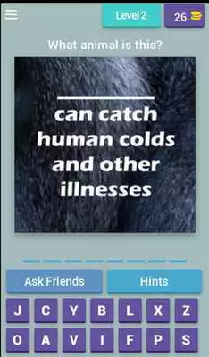Play Fun Animal Facts