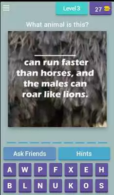 Play Fun Animal Facts