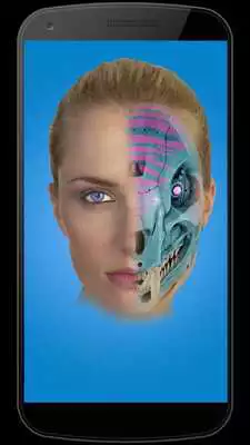 Play Fun Face Morphing