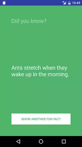 Play Fun Facts