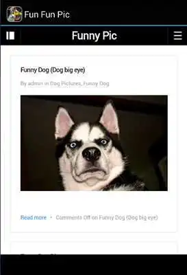 Play Fun Fun Vid - Funny Pic