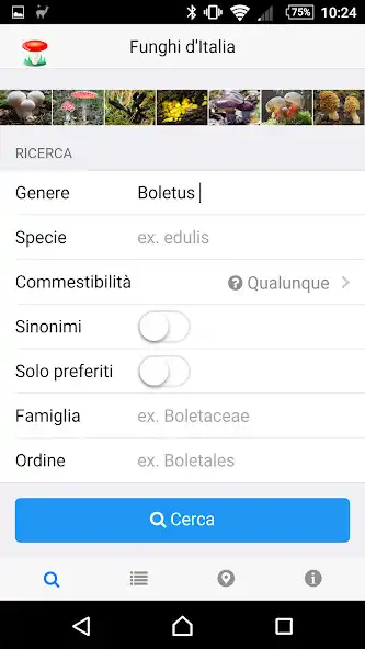 Play Funghi italiani  and enjoy Funghi italiani with UptoPlay