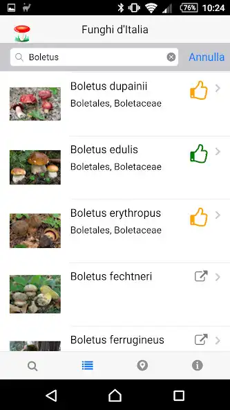Play Funghi italiani as an online game Funghi italiani with UptoPlay