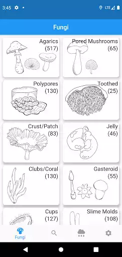Play Fungi Booklet  and enjoy Fungi Booklet with UptoPlay