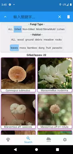 Play Fungi Booklet as an online game Fungi Booklet with UptoPlay