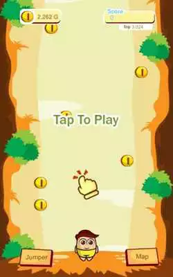 Play Fun Jungle Jumper