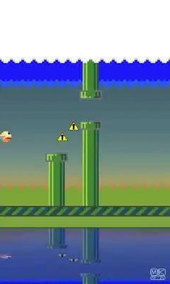 Play Funky Bird Free Lane