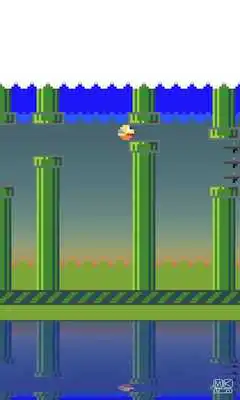 Play Funky Bird Free Lane