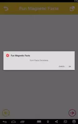 Play Fun Magnetic Facts