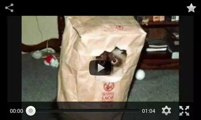 Play Funny and free videos