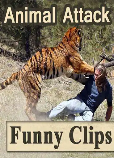 Play APK Funny Animal Attack Videos - Live Real Time Clips  and enjoy Funny Animal Attack Videos - Live Real Time Clips using Ap