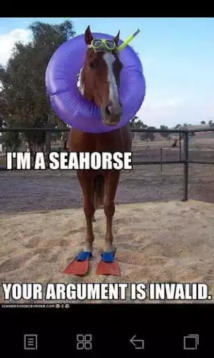 Play Funny Animal Pics as an online game online Funny Animal Pics with UptoPlay Play Funny Animal Pics as an online game Funny Animal Pics with UptoPlay