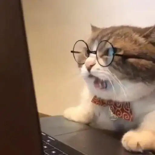 Play Funny Animal Pictures  Memes APK