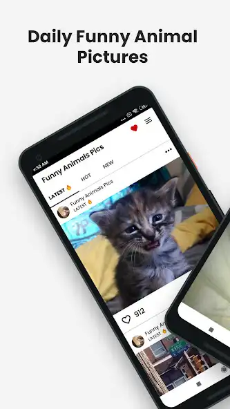 Play Funny Animal Pictures Memes and enjoy Funny Animal Pictures Memes with UptoPlay Play Funny Animal Pictures Memes and enjoy Funny Animal Pictures Memes with UptoPlay