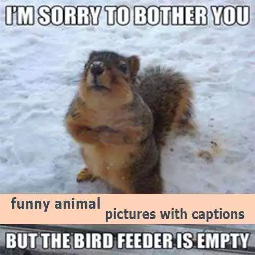 Run free android online funny animal pictures with captions APK Run free android online funny animal pictures with captions APK