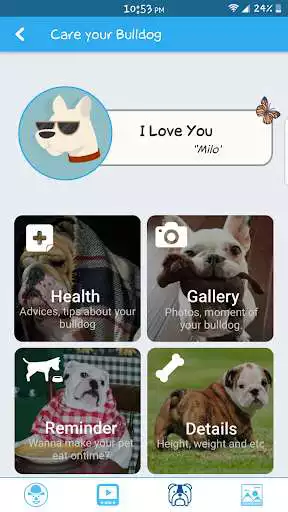 Play Funny Animal