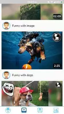 Play Funny Animal