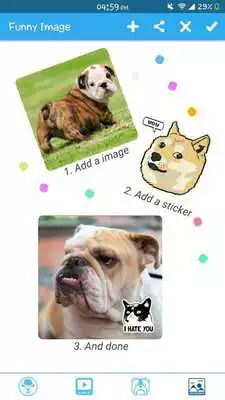 Play Funny Animal