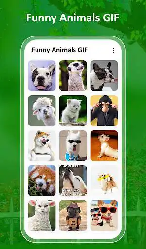 Play Funny Animals GIF and enjoy Funny Animals GIF with UptoPlay Play Funny Animals GIF and enjoy Funny Animals GIF with UptoPlay