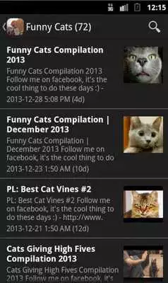 Play Funny Animals movie Play Funny Animals movie
