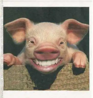 Play Funny Animals Pictures  and enjoy Funny Animals Pictures with UptoPlay
