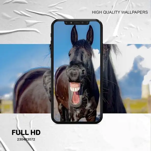 Play funny animal wallpaper and enjoy funny animal wallpaper with UptoPlay Play funny animal wallpaper and enjoy funny animal wallpaper with UptoPlay