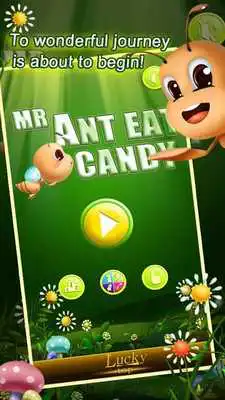 Play funny ant