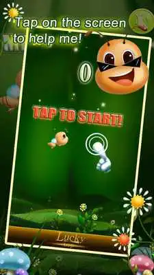 Play funny ant