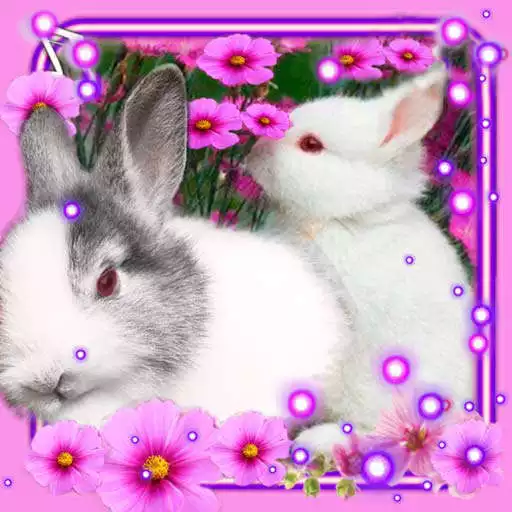 Play Funny Bunnies Live Wallpaper APK