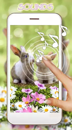 Play Funny Bunnies Live Wallpaper  and enjoy Funny Bunnies Live Wallpaper with UptoPlay