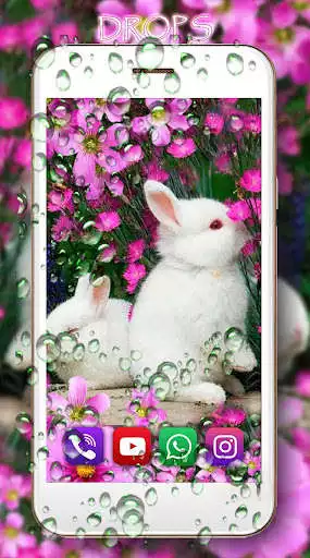 Play Funny Bunnies Live Wallpaper as an online game Funny Bunnies Live Wallpaper with UptoPlay