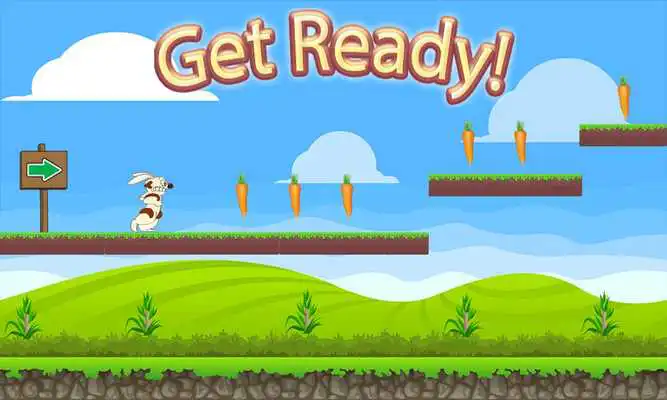 Play Funny Bunny Run