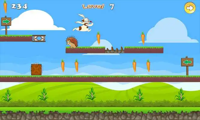 Play Funny Bunny Run