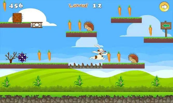 Play Funny Bunny Run