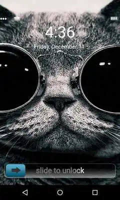 Play Funny Cat 3D Locker Theme