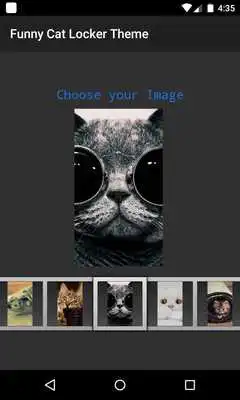 Play Funny Cat 3D Locker Theme