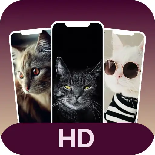 Play Funny Cat Cute Wallpapers HD APK Play Funny Cat Cute Wallpapers HD APK