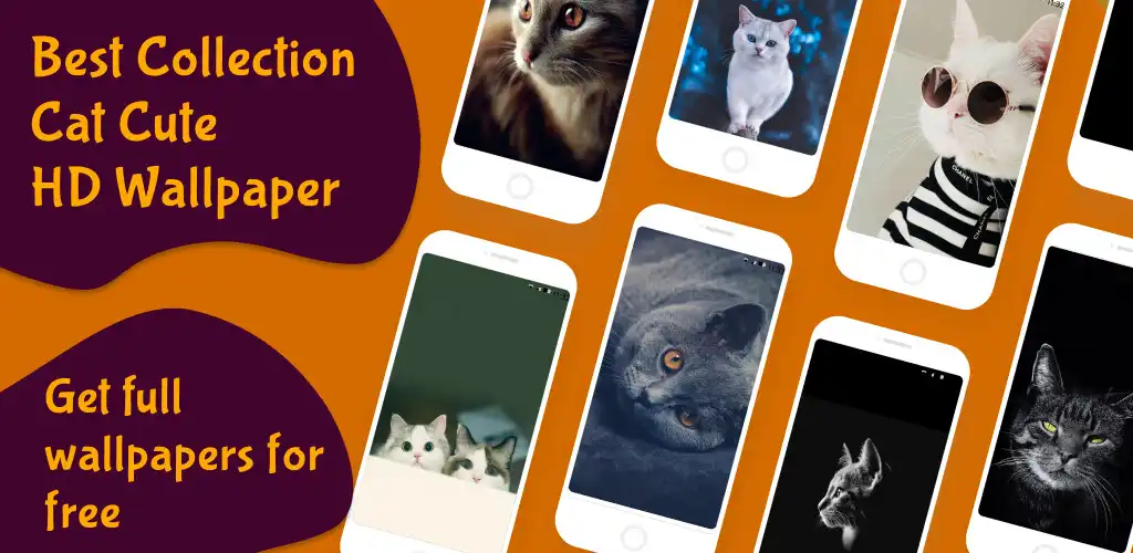 Play Funny Cat Cute Wallpapers HD  and enjoy Funny Cat Cute Wallpapers HD with UptoPlay