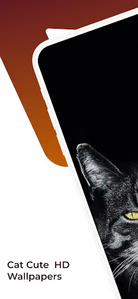 Play Funny Cat Cute Wallpapers HD as an online game Funny Cat Cute Wallpapers HD with UptoPlay