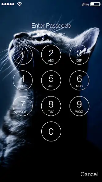 Play Funny Cat Kitty Cute Theme Screen Lock as an online game Funny Cat Kitty Cute Theme Screen Lock with UptoPlay