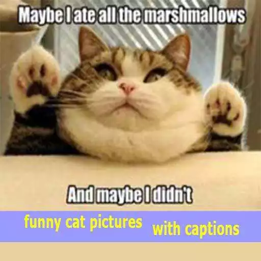Run free android online funny cat pictures with captions APK Run free android online funny cat pictures with captions APK