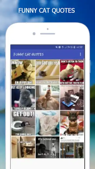 Play FUNNY CAT QUOTES and enjoy FUNNY CAT QUOTES with UptoPlay Play FUNNY CAT QUOTES and enjoy FUNNY CAT QUOTES with UptoPlay