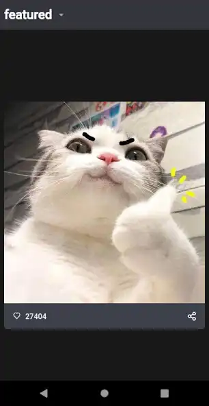 Play Funny Cat Videos and Pictures, Funny Cat Memes  and enjoy Funny Cat Videos and Pictures, Funny Cat Memes with UptoPlay