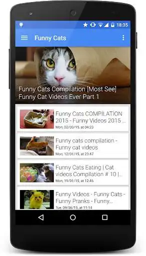 Play Funny Cat Videos  and enjoy Funny Cat Videos with UptoPlay