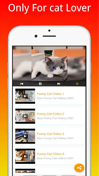 Play Funny Cat Videos~Cat Voice as an online game Funny Cat Videos~Cat Voice with UptoPlay
